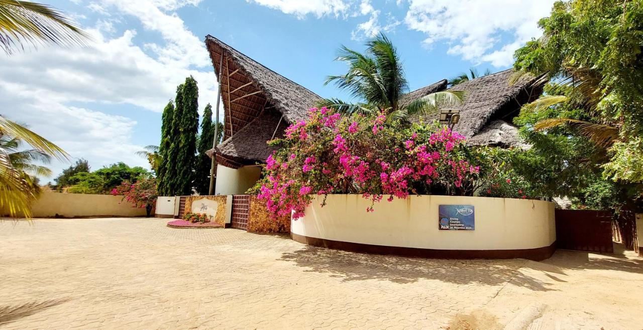 Kena Station touristique Matemwe (Zanzibar)